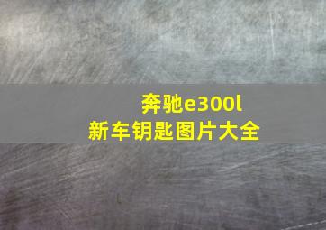 奔驰e300l新车钥匙图片大全