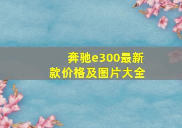 奔驰e300最新款价格及图片大全