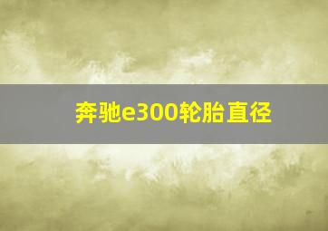 奔驰e300轮胎直径