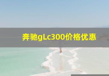 奔驰gLc300价格优惠