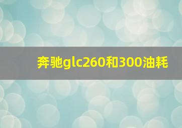 奔驰glc260和300油耗