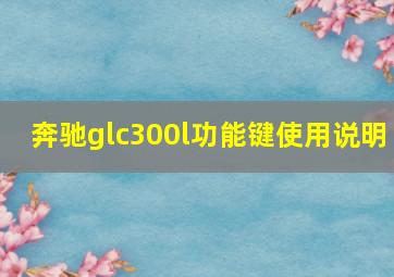 奔驰glc300l功能键使用说明