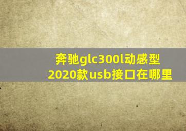 奔驰glc300l动感型2020款usb接口在哪里