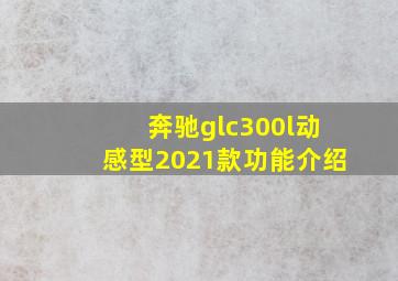 奔驰glc300l动感型2021款功能介绍