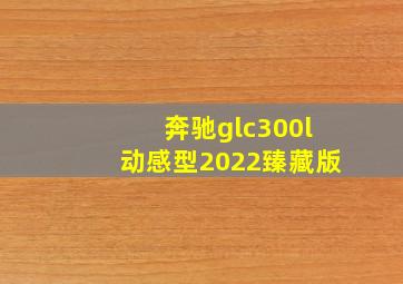 奔驰glc300l动感型2022臻藏版