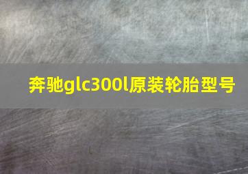 奔驰glc300l原装轮胎型号