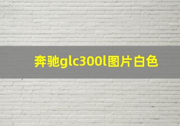 奔驰glc300l图片白色