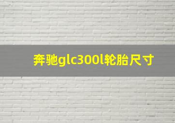 奔驰glc300l轮胎尺寸