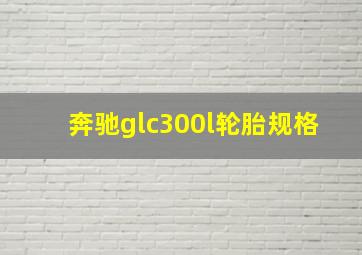 奔驰glc300l轮胎规格