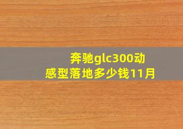 奔驰glc300动感型落地多少钱11月