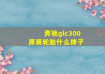 奔驰glc300原装轮胎什么牌子