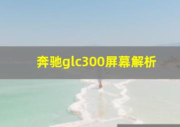 奔驰glc300屏幕解析