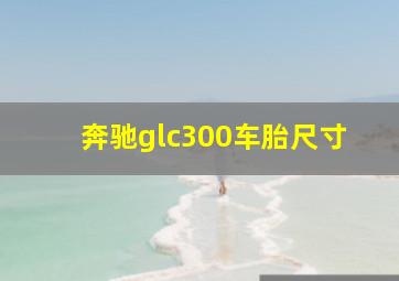 奔驰glc300车胎尺寸