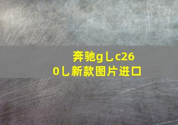 奔驰g乚c260乚新款图片进口