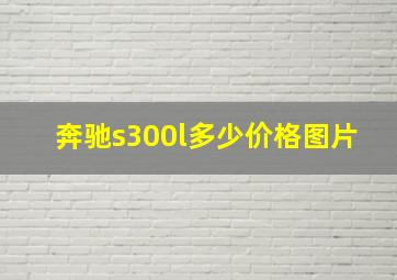 奔驰s300l多少价格图片