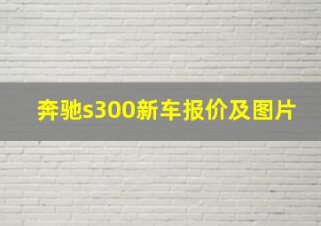 奔驰s300新车报价及图片