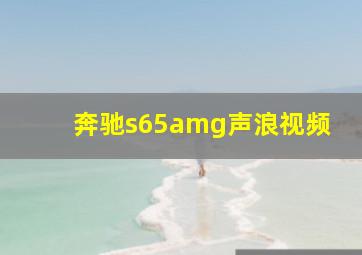 奔驰s65amg声浪视频