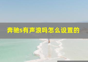 奔驰s有声浪吗怎么设置的