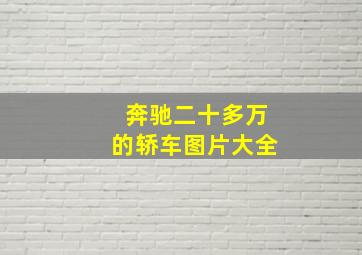 奔驰二十多万的轿车图片大全