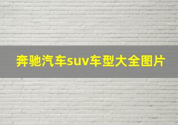 奔驰汽车suv车型大全图片