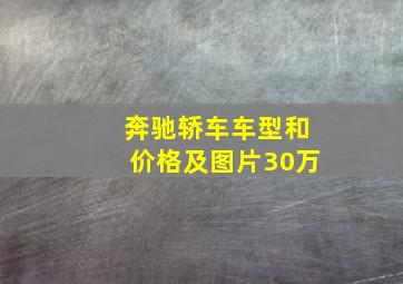 奔驰轿车车型和价格及图片30万