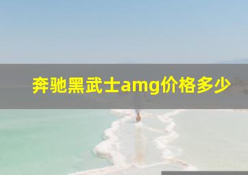 奔驰黑武士amg价格多少