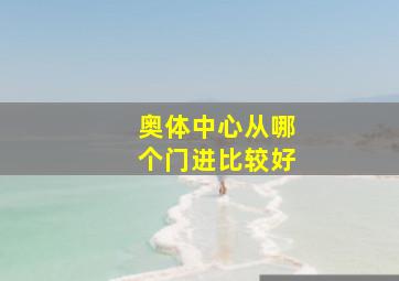 奥体中心从哪个门进比较好