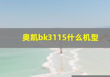 奥凯bk3115什么机型