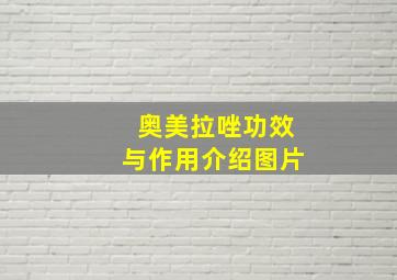 奥美拉唑功效与作用介绍图片