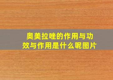 奥美拉唑的作用与功效与作用是什么呢图片