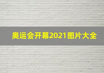 奥运会开幕2021图片大全