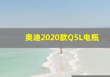 奥迪2020款Q5L电瓶