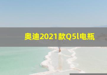 奥迪2021款Q5l电瓶