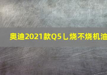 奥迪2021款Q5乚烧不烧机油