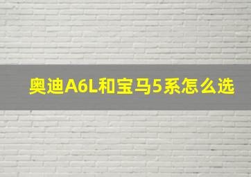 奥迪A6L和宝马5系怎么选