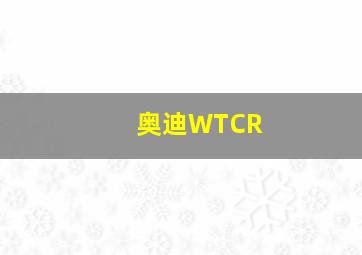 奥迪WTCR