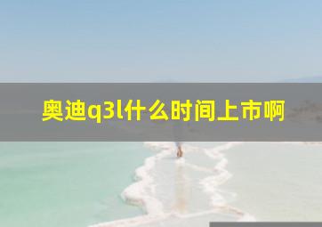 奥迪q3l什么时间上市啊