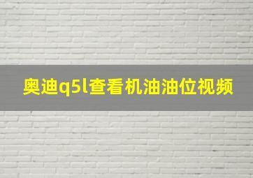 奥迪q5l查看机油油位视频