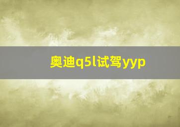 奥迪q5l试驾yyp