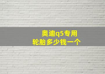 奥迪q5专用轮胎多少钱一个