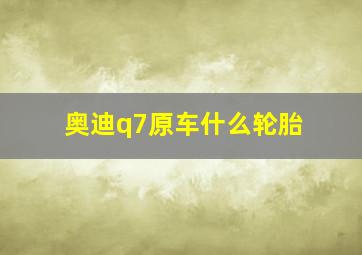 奥迪q7原车什么轮胎