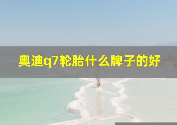 奥迪q7轮胎什么牌子的好