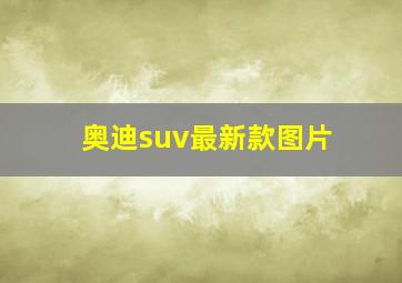 奥迪suv最新款图片