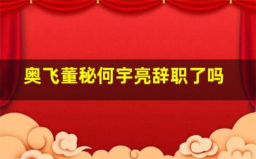 奥飞董秘何宇亮辞职了吗