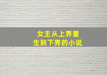 女主从上界重生到下界的小说