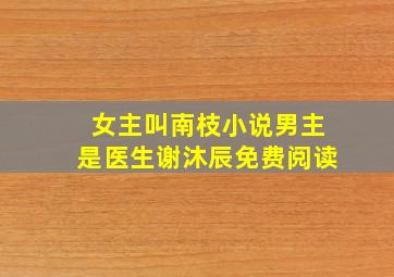 女主叫南枝小说男主是医生谢沐辰免费阅读