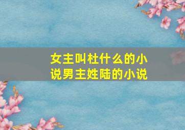 女主叫杜什么的小说男主姓陆的小说