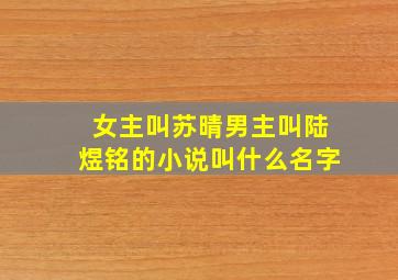 女主叫苏晴男主叫陆煜铭的小说叫什么名字