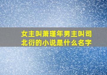 女主叫萧瑾年男主叫司北衍的小说是什么名字