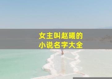 女主叫赵曦的小说名字大全